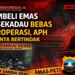 file_000000006fd87206a2fec4587a075196